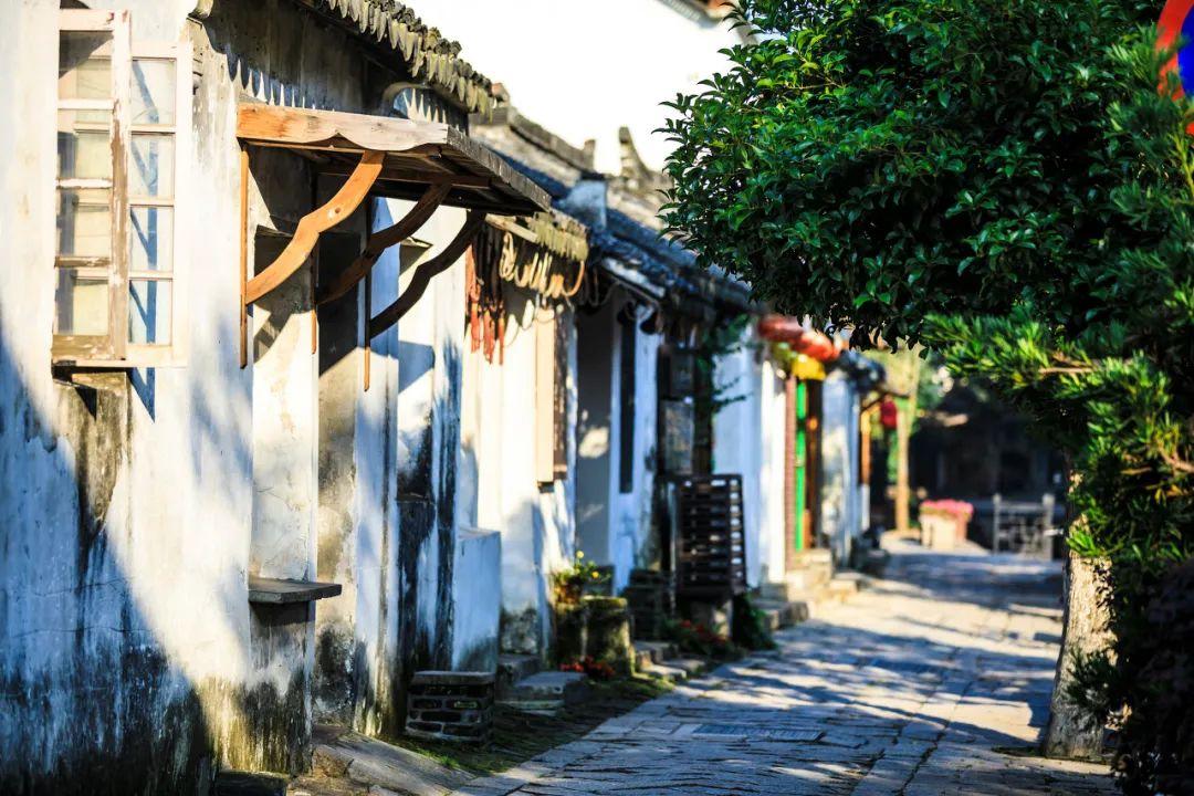 【聚焦2024甘肃两会】快讯丨2023年全省检察院起诉制售有毒有害食品、假冒伪劣药品犯罪521人